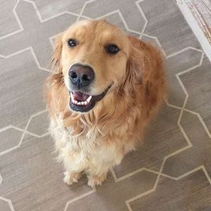 Meet your Posher, Maddy